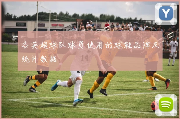 各英超球队球员使用的球鞋品牌及统计数据