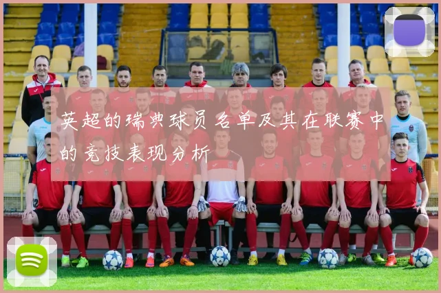 英超的瑞典球员名单及其在联赛中的竞技表现分析