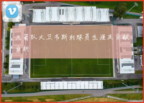 火箭队大卫韦斯利球员生涯及贡献分析