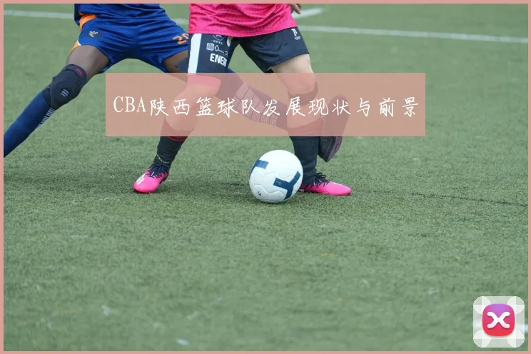 CBA陕西篮球队发展现状与前景